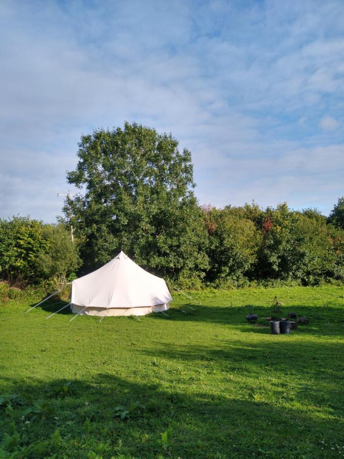 Blackberry Patch Hotel Pontyates ภายนอก รูปภาพ